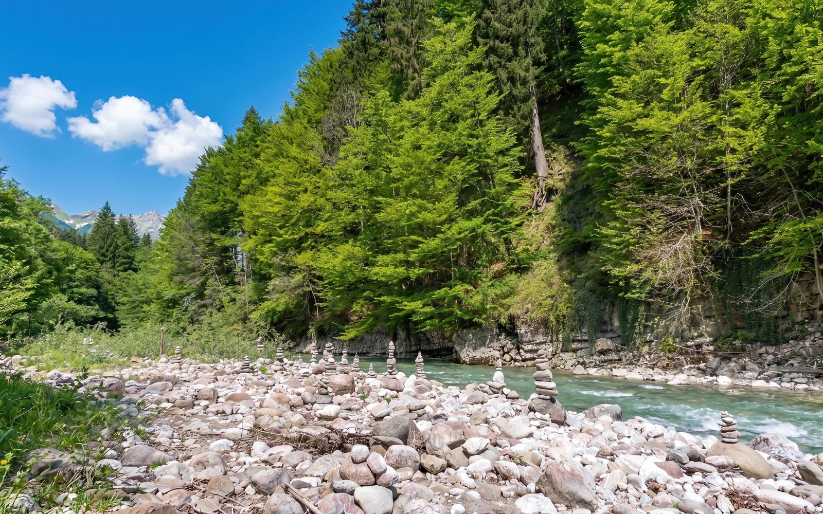 Halblech & Wildfluss